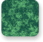 Imagen microscopio
